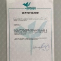 Acercar imagen: certificate 12
