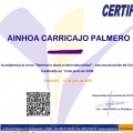 Acercar imagen: certificate 5