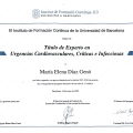 Acercar imagen: certificate 2