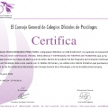 Acercar imagen: certificate 47
