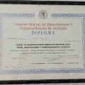 Acercar imagen: certificate 3