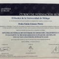 Acercar imagen: certificate 2