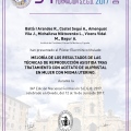 Acercar imagen: certificate 19