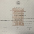 Acercar imagen: certificate 1