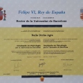 Acercar imagen: certificate 4