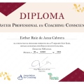 Acercar imagen: certificate 3