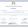 Acercar imagen: certificate 20