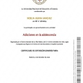 Acercar imagen: certificate 11