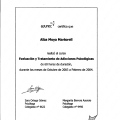 Acercar imagen: certificate 9