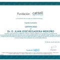 Acercar imagen: certificate 336