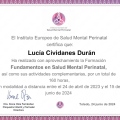 Acercar imagen: certificate 1