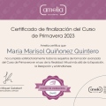 Acercar imagen: certificate 2
