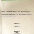Acercar imagen: certificate 11
