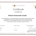 Acercar imagen: certificate 4
