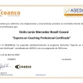 Acercar imagen: certificate 2