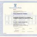 Acercar imagen: certificate 1