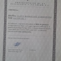 Acercar imagen: certificate 4