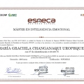 Acercar imagen: certificate 3