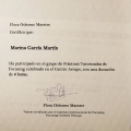 Acercar imagen: certificate 11
