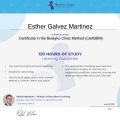 Acercar imagen: certificate 2