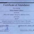 Acercar imagen: certificate 7