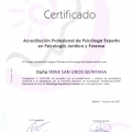 Acercar imagen: certificate 2