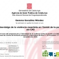 Acercar imagen: certificate 13