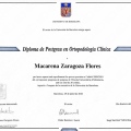 Acercar imagen: certificate 5
