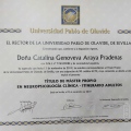 Acercar imagen: certificate 1