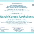 Acercar imagen: certificate 5