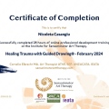 Acercar imagen: certificate 2