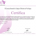 Acercar imagen: certificate 109