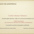 Acercar imagen: certificate 5