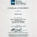 Acercar imagen: certificate 6