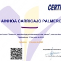 Acercar imagen: certificate 6
