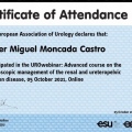 Acercar imagen: certificate 10