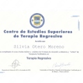 Acercar imagen: certificate 13