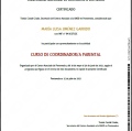 Acercar imagen: certificate 6