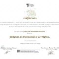 Acercar imagen: certificate 70