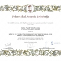 Acercar imagen: certificate 2