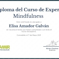 Acercar imagen: certificate 4