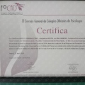 Acercar imagen: certificate 1