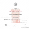 Acercar imagen: certificate 3