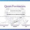 Acercar imagen: certificate 8