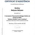 Acercar imagen: certificate 10