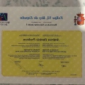 Acercar imagen: certificate 1