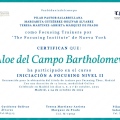 Acercar imagen: certificate 4