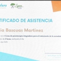 Acercar imagen: certificate 1