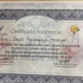 Acercar imagen: certificate 7
