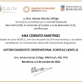 Acercar imagen: certificate 4